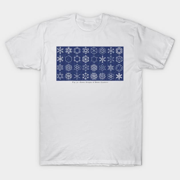 Snow Crystals T-Shirt by goodieg